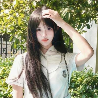 领头羊